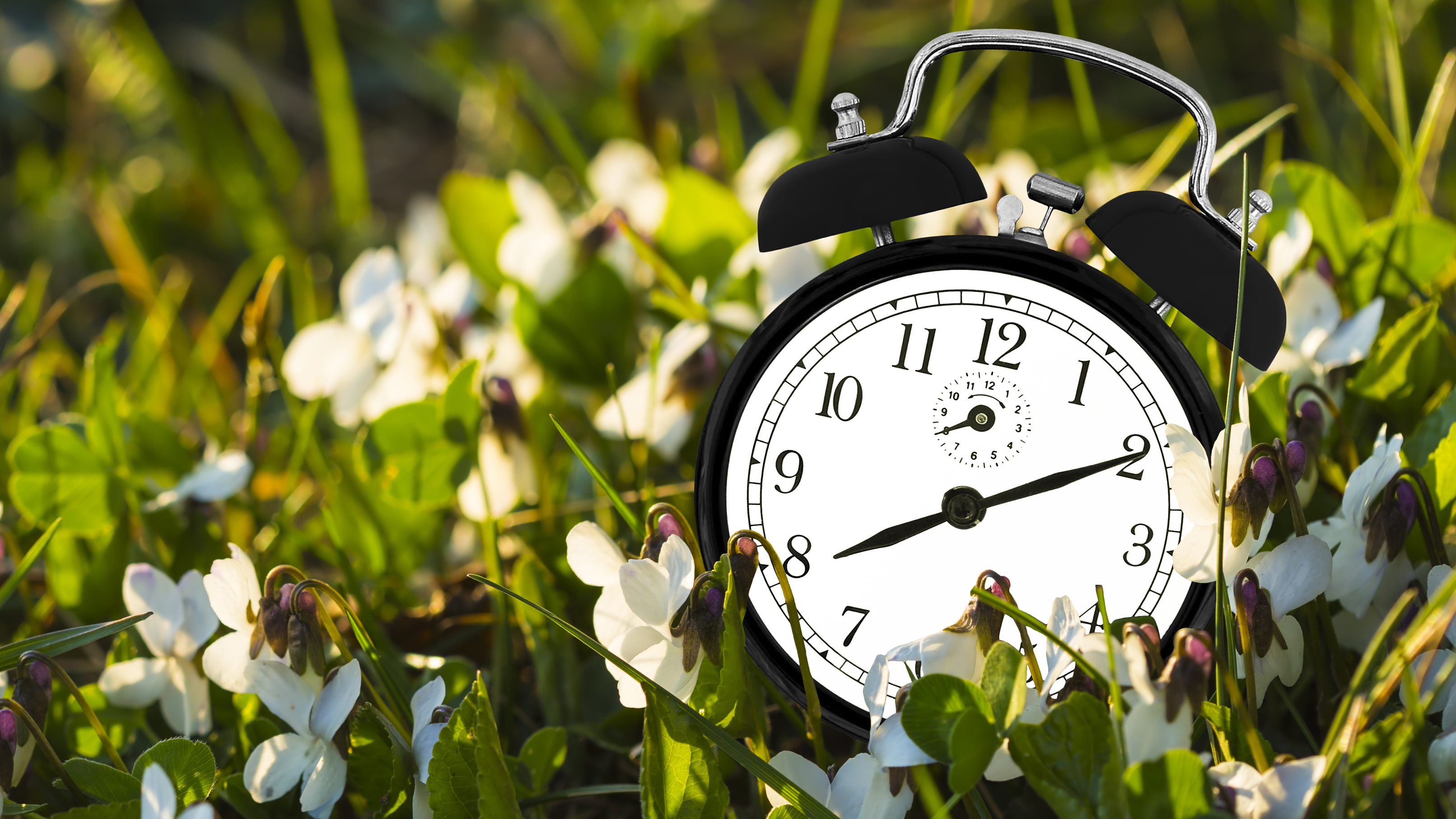 12news-here-s-why-arizona-doesn-t-observe-daylight-saving-time